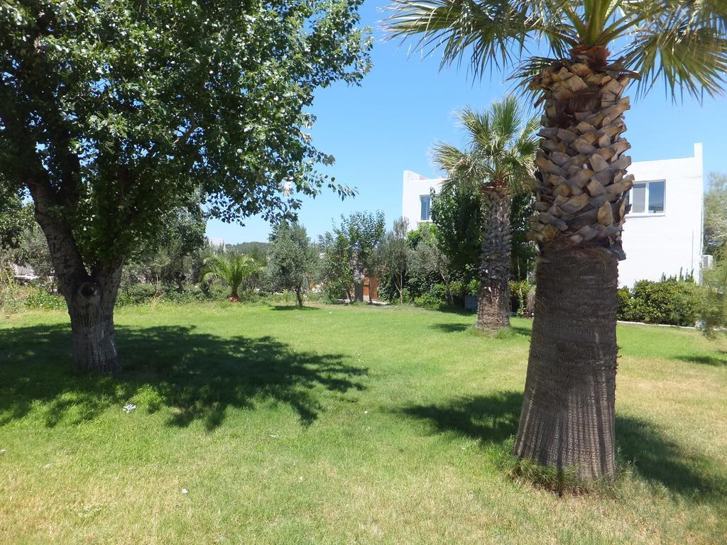 Ayvalı Aytas Hotel מראה חיצוני תמונה
