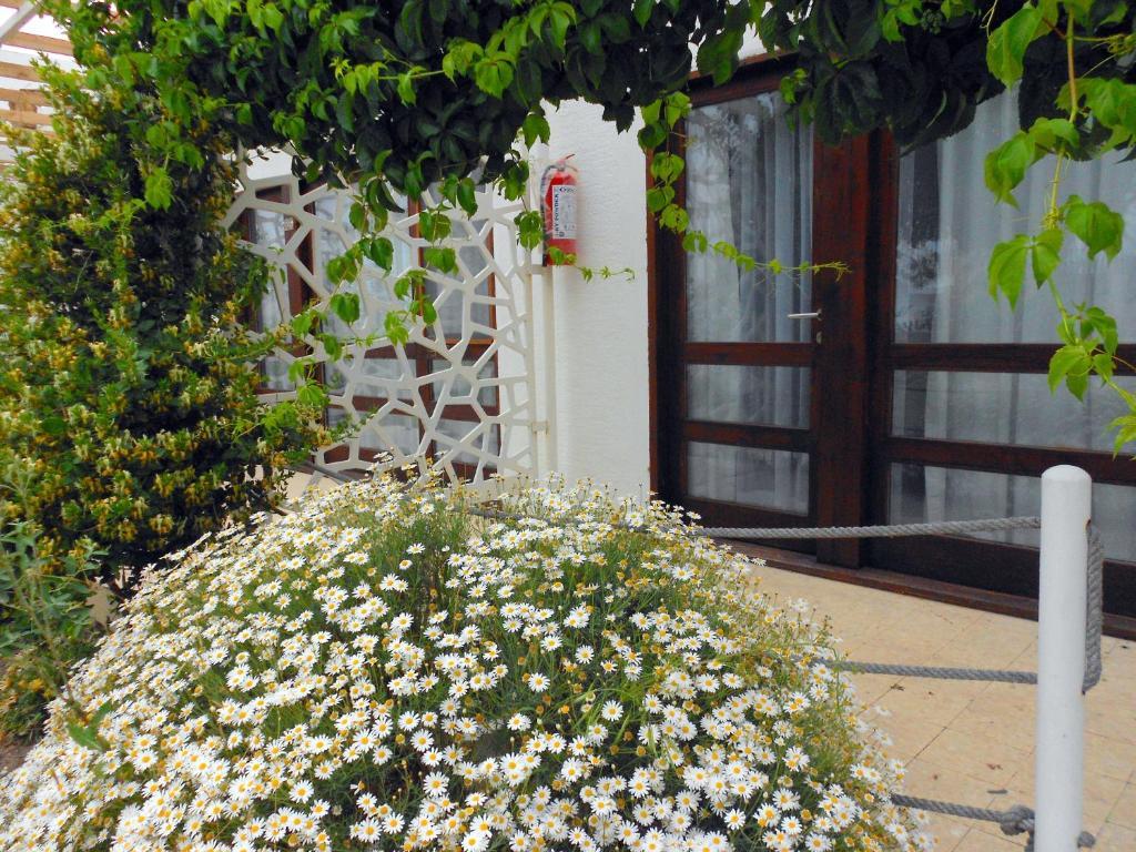 Ayvalı Aytas Hotel מראה חיצוני תמונה